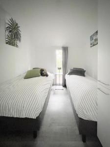 Beachhouse Veluwemeer mit großem Garten in Strandnähe (inkl. Hallenbadnutzung)