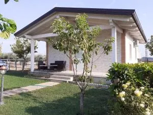 Centro Ippico Iannibelli - Frascineto