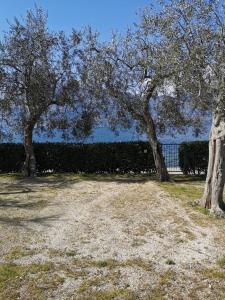Camping Baldo
