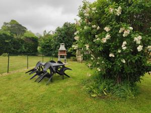 Maisons de vacances Le Petit Gite de la Roseraie : photos des chambres