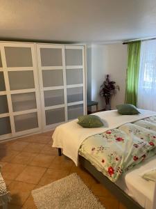 Apartment Mirana with garden and FREE parking