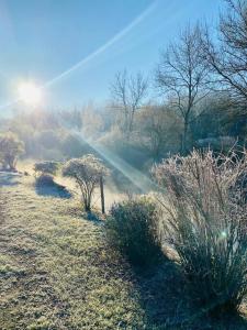 Maisons de vacances Cottage, Lodge & Spa : photos des chambres