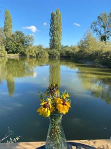Maisons de vacances Cottage, Lodge & Spa : photos des chambres