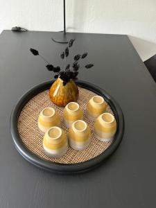 Prins Heerlijk Amelander Kaap 81