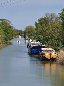 Bateaux-hotels Jolie peniche canal du Midi : photos des chambres