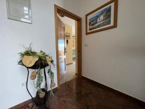 Holiday Apartments Sonne Rovinj