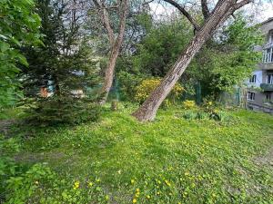 Котляревського апартамент з садом