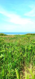Campings Camping Les Ronds Duval face aux iles anglo-normandes : photos des chambres
