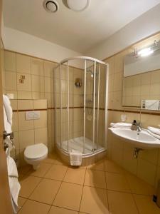Double Room room in Hotel MAGISTR Vsetín
