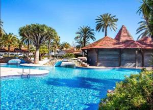 Estudio en El Palmar