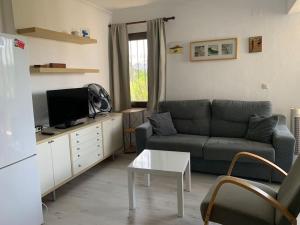 Estudio en El Palmar