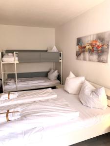 Winterberg Appartement 21112