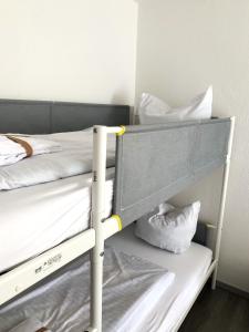 Winterberg Appartement 21112