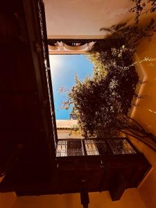 Riad MsHolidays bassin privatisé Marrakech
