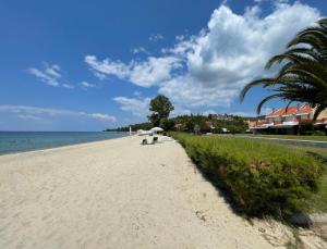 Stunning beachfront villa for rent