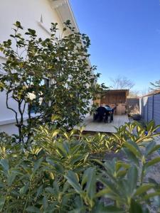 Maisons de vacances Maison de vacances Bisca : photos des chambres