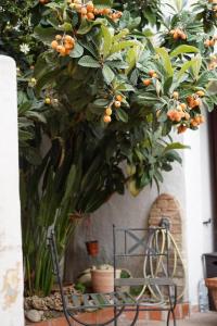 Casa l’orizzonte azzurro img17