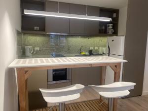 Amplio y moderno depto. en la mejor zona de palermo