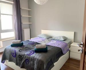 Project Comfort Apartament Jana Kazimierza 1747 Wola