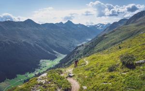 Hotel Ochsen 2 by Mountain Hotels