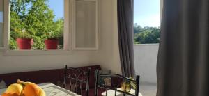 Appartements Appartement 3 pieces avec terrasse au soleil : photos des chambres