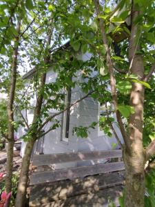 Tuinhuisje in het groen