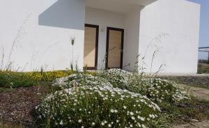 Chambre Double ou Lits Jumeaux avec Salle de Bains Privative