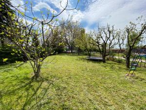 Dandelion Szépvölgyi Vendégház