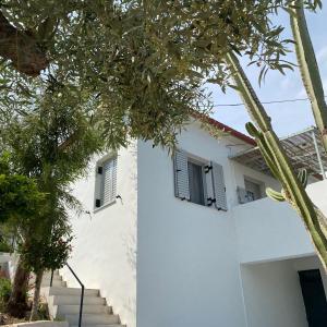 Casa olive