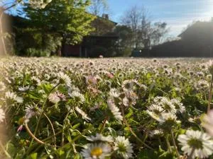 Spazio Friuli - Tiare Apt. residenza nel verde - 切尔维尼亚诺德尔夫留利