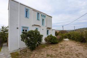 Cycladic Blue Andros Villa