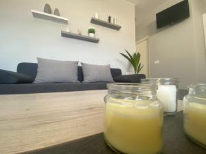 Camelia luxury apartment