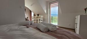 Kolorowe Cieplice - Apartamenty z widokiem na Karkonosze