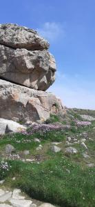 Campings Mobilhome emplacement 2 : photos des chambres