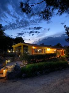 Wild sud Sardinia img20