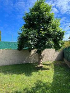 Piso con jardín en Ribadeo