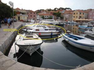 Secluded fishermans cottage Lavdara, Dugi otok - 8155