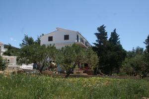 Apartment Stara Novalja 4153a 