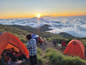 Blue Mountain Cottage