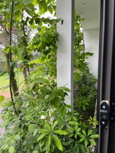 Friendly villa SH Đại Lải 4 phòng ngủ