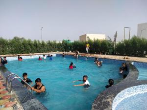 Amazing Fun World By Nexottel