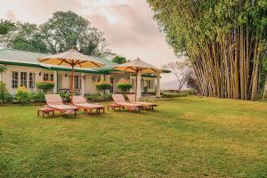 Mandira Strathdon by HPL