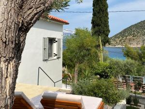Casa olive