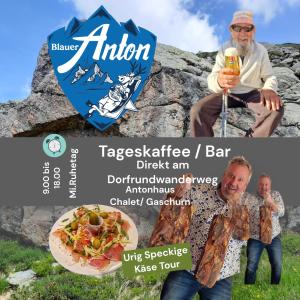 Chalet Appartement Antonhaus