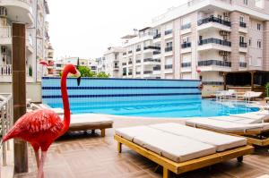 Flamingo Residence