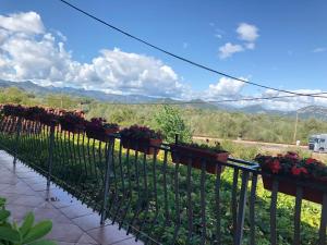 Skadar Lake Apartment -Karolina