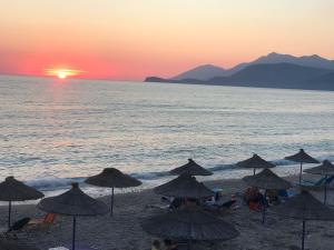 Tropikal Freskia Bunec