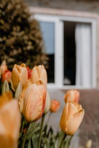 Duinvilla Aan de Zee B&B