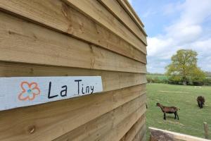 Appartements Tiny House : photos des chambres
