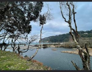 Apartamentos ELROSAL2